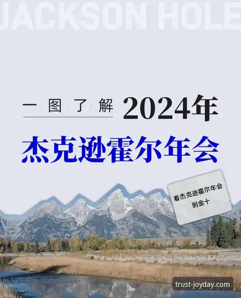 金年会APP安卓怎么样 5个关键维度解析金年会APP安卓怎么样——从下载到实战的完整指南